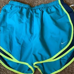 Nike Shorts size L